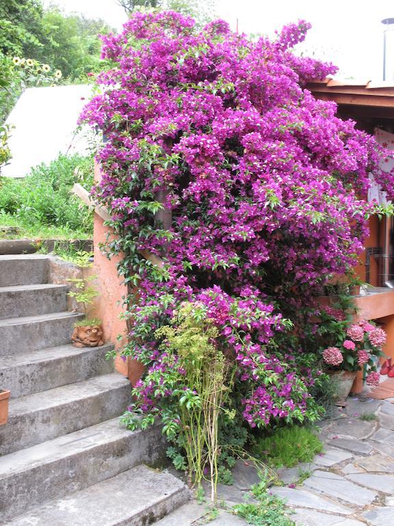 Casa Rural Enkartada Sopuerta Zewnętrze zdjęcie